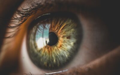 Un oeil bionique bientôt testé sur les humains